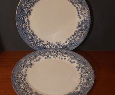 Fabulous Pair of Early Vintage Blue and White Arklow Pottery 10 Inch Dinner Plates Unknown Pattern Name, Backstamp Circa 1930/40's