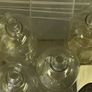 Home Brewing Demijohns and Bottles Image 7