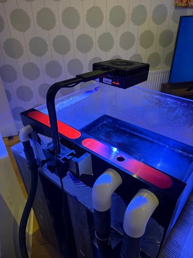 Marine Aquarium Frag Tank, light, pump and Cabinet