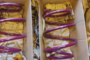 BMW E46 1998 - 2005  Front Lowering Springs 40mm, VOGTLAND Made in Germany