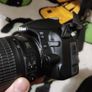 Nikon 3100 Image 5