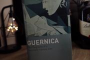 Guernica ! The Biography of a Twentieth-Century Icon ! Pablo Picasso ! 2004 ! by Bloomsbury !