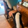 Childrens rocking horse Image 3