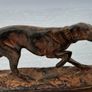 Hunting Dog - Patinated Bronze, Signed Image 5