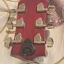 Richwood electro acoustic guitar Image 5