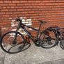 bikes Image 2