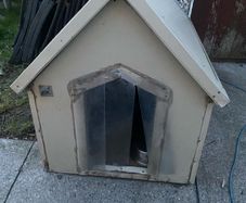 dog kennel
