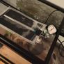 terarium Image 6