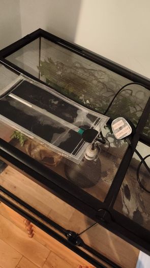 terarium
