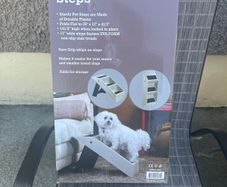 dogs