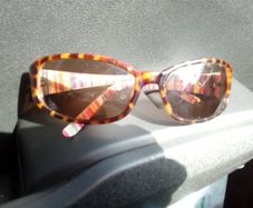 Tommy Hilfiger Sunglasses