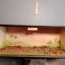 1815 Waterloo Battle Scene Collection Image 2