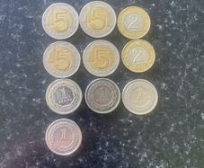 Poland coin coins