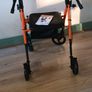 Vocic Z21 walker Image 2