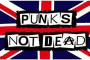 Punks not Dead flag Free post