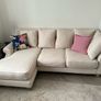 L shape DFS couch Image 3