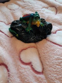 Genesis Creations dragon