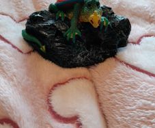 Genesis Creations dragon