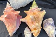 Fish Tank Ornaments