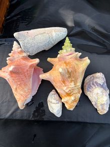 Fish Tank Ornaments