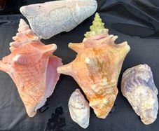 Fish Tank Ornaments