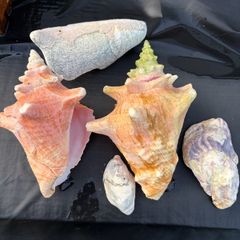 Fish Tank Ornaments
