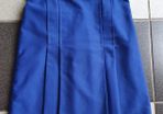 As New - Age 13/14 Years - A School Uniform Pleated Skirt - Presentation Primary School Portarlington - Cost in Colgans 27 Euro