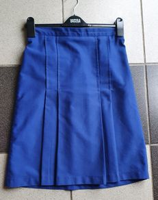 As New - Age 13/14 Years - A School Uniform Pleated Skirt - Presentation Primary School Portarlington - Cost in Colgans 27 Euro