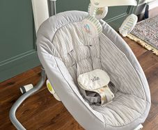 Joie Serina Swivel Swing