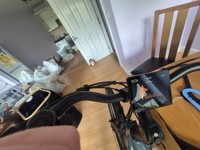 pedal assist