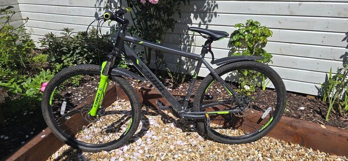 bike 29"