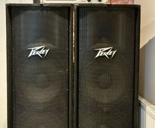 Speakers (Peavy PV215 Passive)