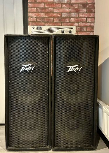 Speakers (Peavy PV215 Passive)