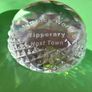 Tipperary Crystal paper weight, engraved for Special Olympics 2003 Image 3