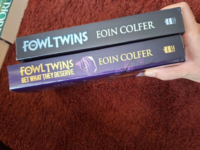 The Fowl twins by Eoin Colfer