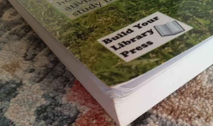 A Literary Education by Emily Cook
