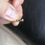 Vintage Gold Plated Cameo Pendant Image 5