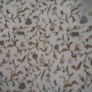 Cotton Lined Curtains for Sale Image 4