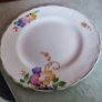 Vintage side  Plate Alfred Meakin as hanging plate. Image 4