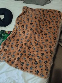 Dog blanket
