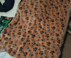 Dog blanket