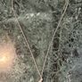 silver duck pendant Image 2