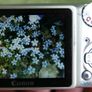 Canon Power Shot A470 point and shoot 7.1 MP Digital Camera Image 9