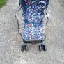 buggy Image 3
