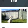 Personalised 3D Printed NFC Smart Pet Tag / Keychain Image 10