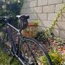 Genesis road bike Image 3