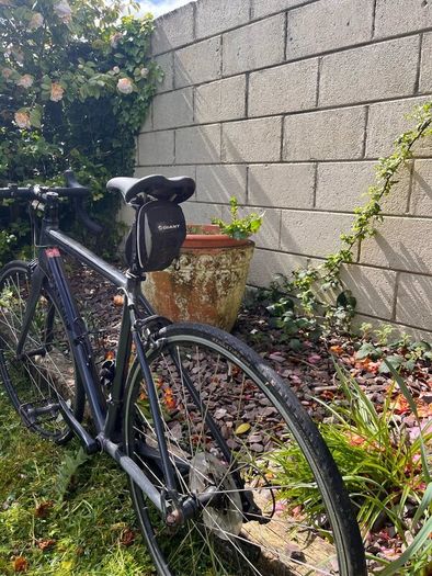 Genesis road bike