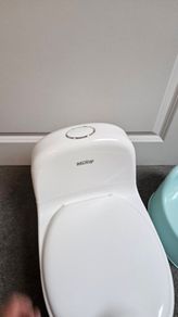 Nuby My Real Potty + Ikea Potty NEW