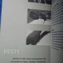 Orchid guide book Image 5