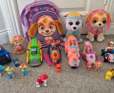 Paw patrol